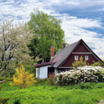 The Best Time of Year to Clean Your Gutters | Gutter Cleaning Raleigh