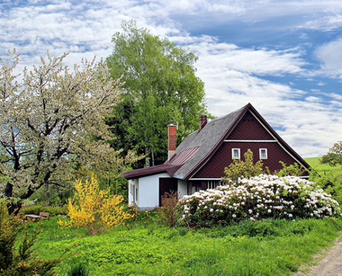 The Best Time of Year to Clean Your Gutters | Gutter Cleaning Raleigh