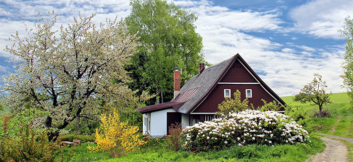 The Best Time of Year to Clean Your Gutters | Gutter Cleaning Raleigh