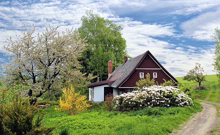 The Best Time of Year to Clean Your Gutters | Gutter Cleaning Raleigh