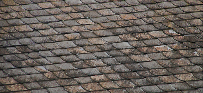 Leaking Roof? Why Your Gutters Might be the Problem