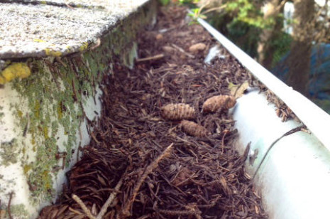 Gutter cleaning in Raleigh